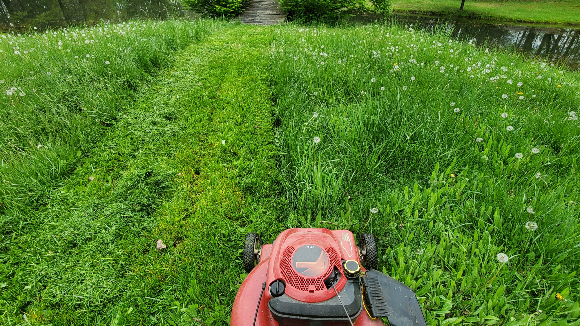 Red lawn mower cutting long grass