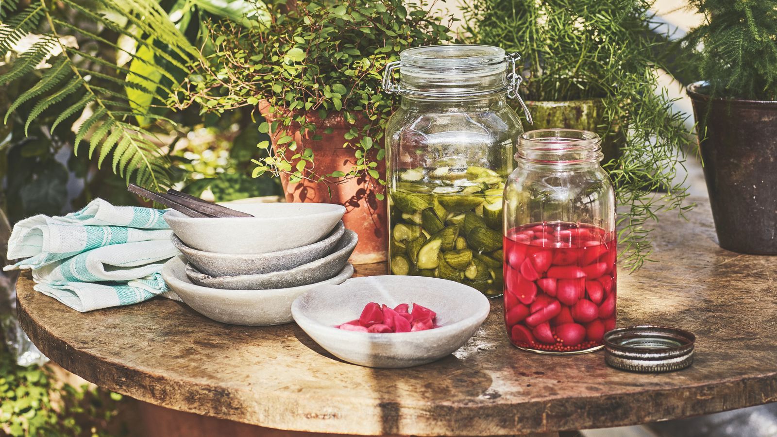 pickled cucumber and radishes