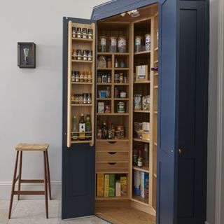 blue freestanding kitchen pantry unit with wooden interior davonport