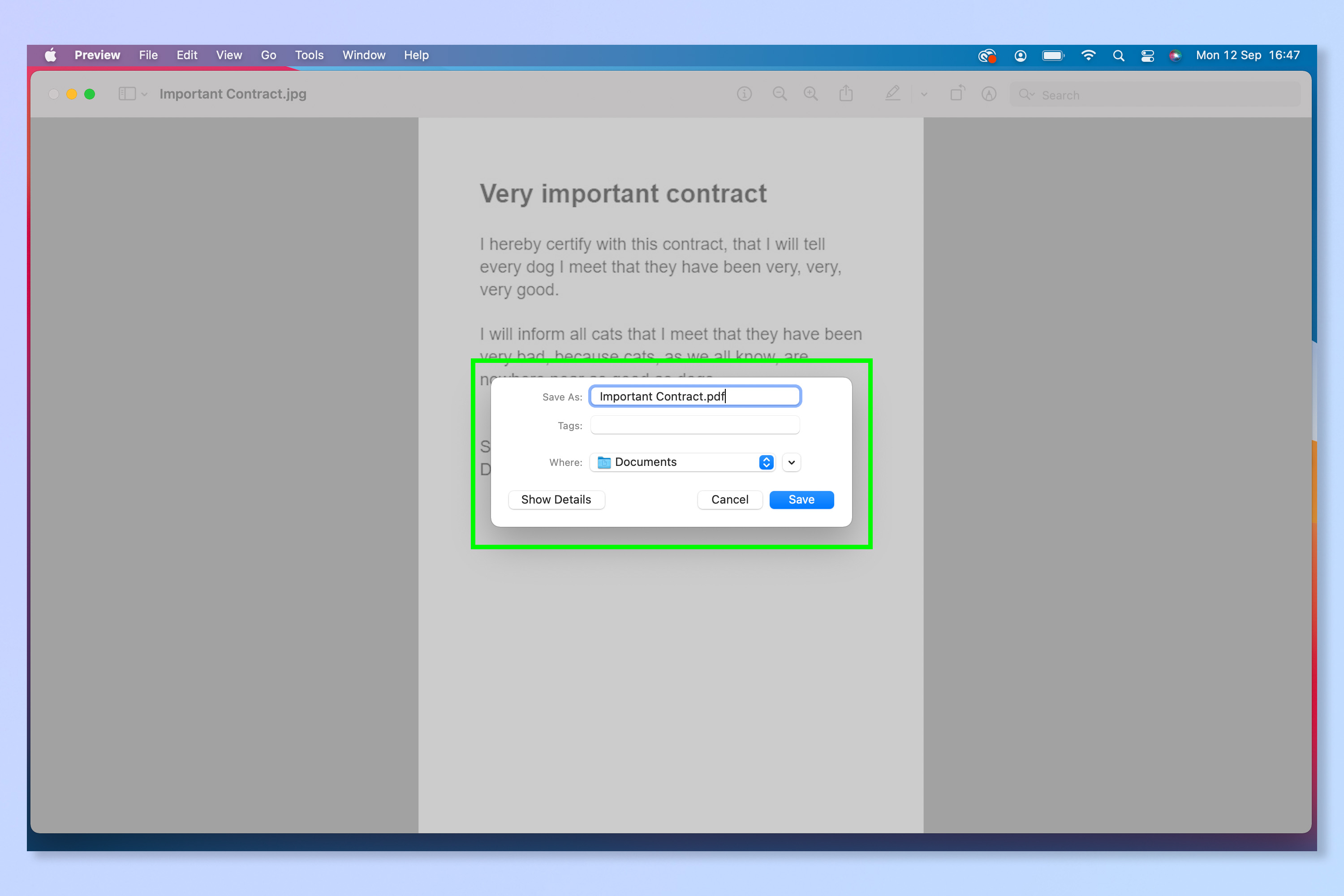 Скриншот, показывающий, как конвертировать jpg в pdf на Mac