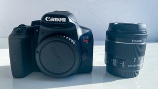 Canon EOS Rebel T8i review