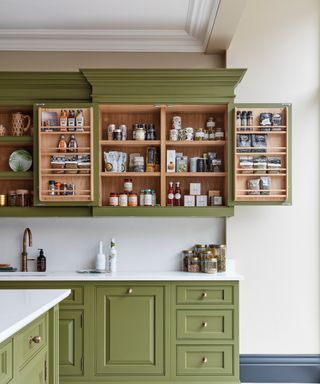 Green kitchen cabinets with open cabinet doors displaying door racks filled with spices.