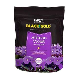 African violet potting mix