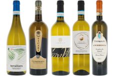 Verdicchio wines