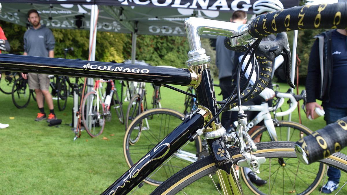 Gold lugs at the front end of the frameset