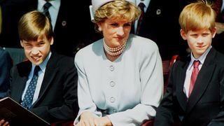 Prince Harry, Prince William, Princess Diana- Meghan Markle set to be 'loving partner'