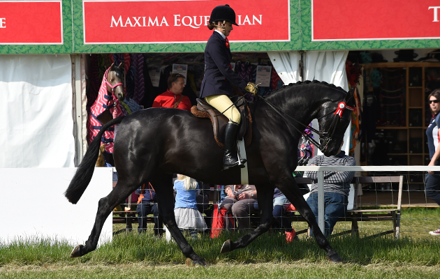 Lizzie Smith riding Rathnaleen Gothic, Champion in The Intermediate Championship during Wednesday of the Royal Windsor Show, in the grounds of Windsor Castle in Windsor in the county of Berkshire, UK on 15th May 2016