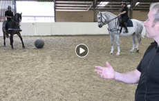 harry kane northumbria police horse