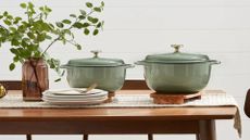 Two mint colored dutch ovens 