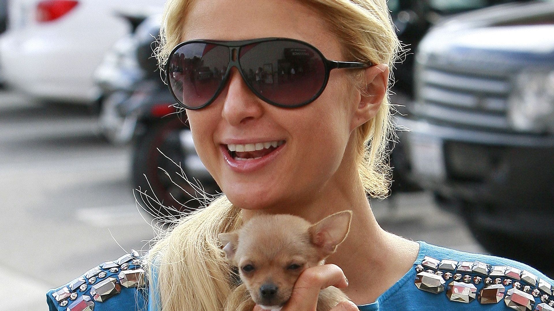 Tinkerbell Hilton Dies Paris Hilton's Chihuahua Dog Passes Away