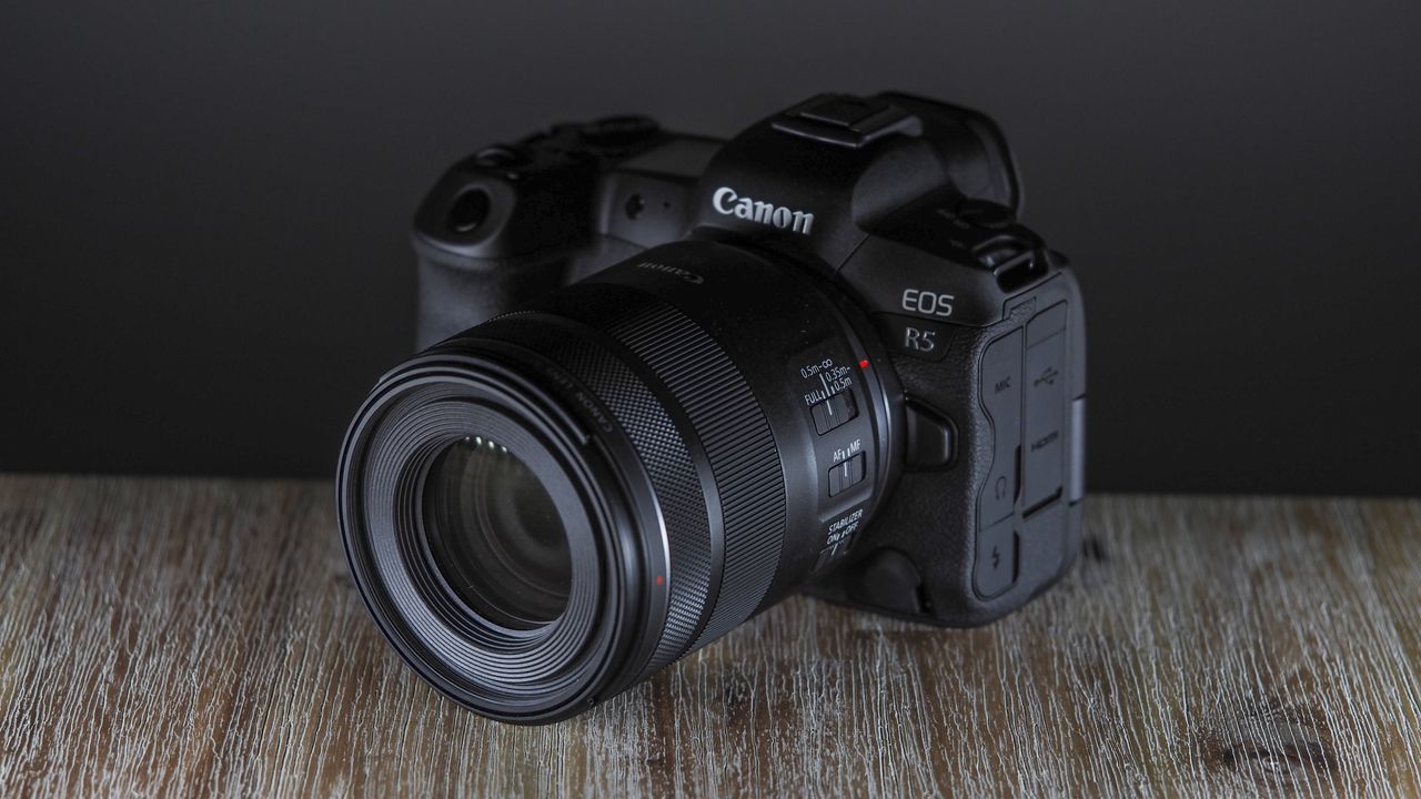 Canon RF 85mm f/2 Macro