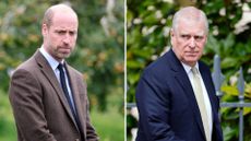 A composite of a picture of Prince William looking solemn in 2025 and a picture of Prince Andrew at Windsor Castle