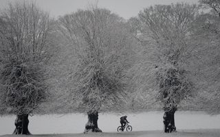 A cyclist riding through the seasons