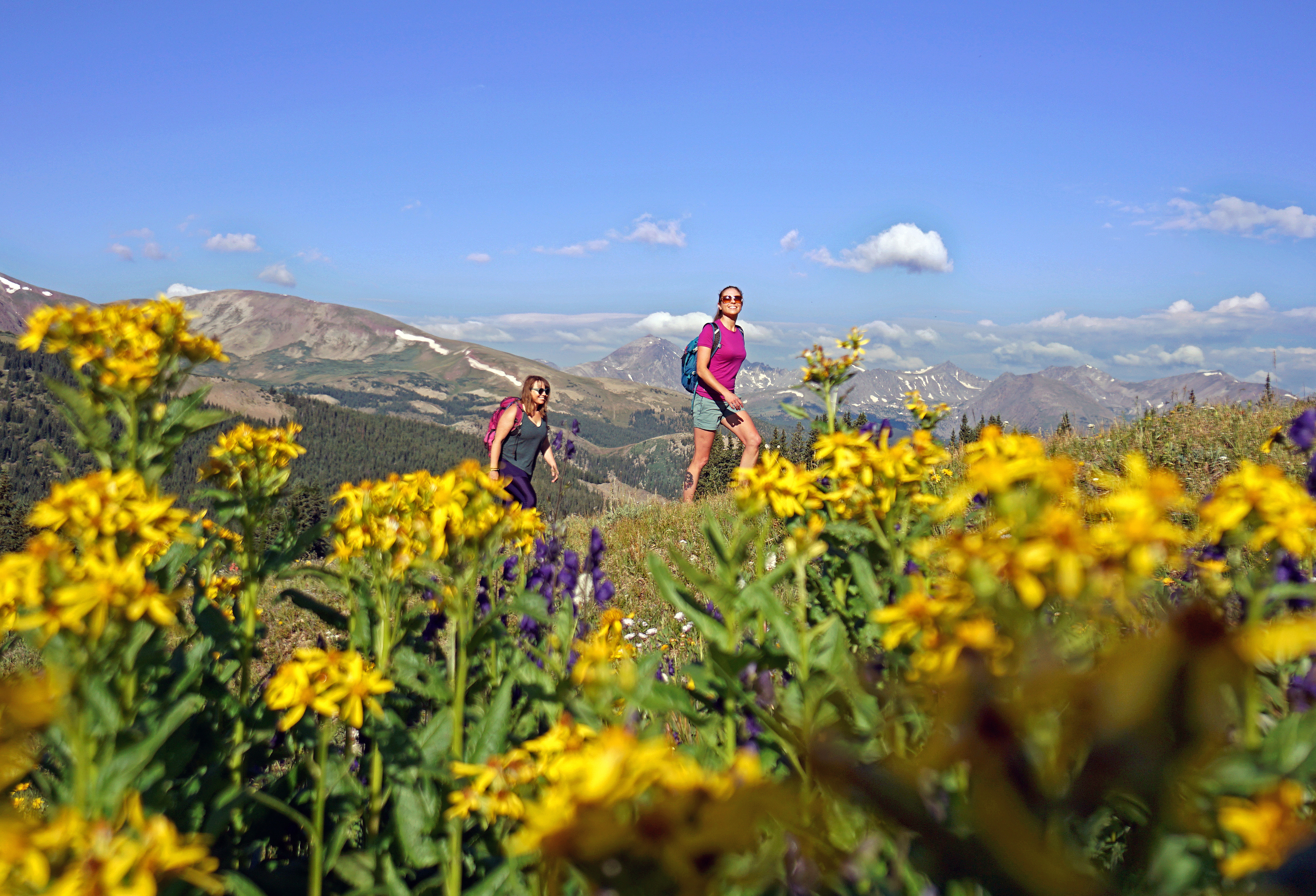 Two women hike in the middle of a meadow filled with yellow flowers in Breckenridge, Colorado