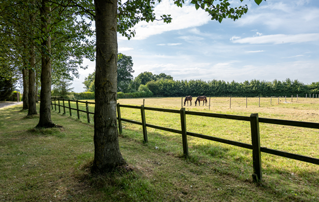 Lodge Farm.Little Henny-71