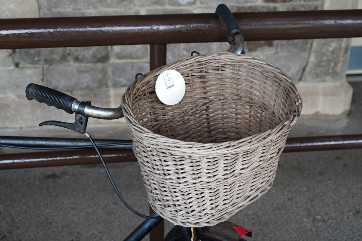Tamron 25-200mm f/2.8-5.6 Di III VXD G2 sample image