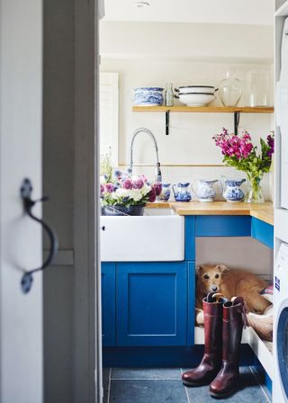 Laundry room ideas a with blue cupboard and a dog curled up in a corner behind a pair of red boots.