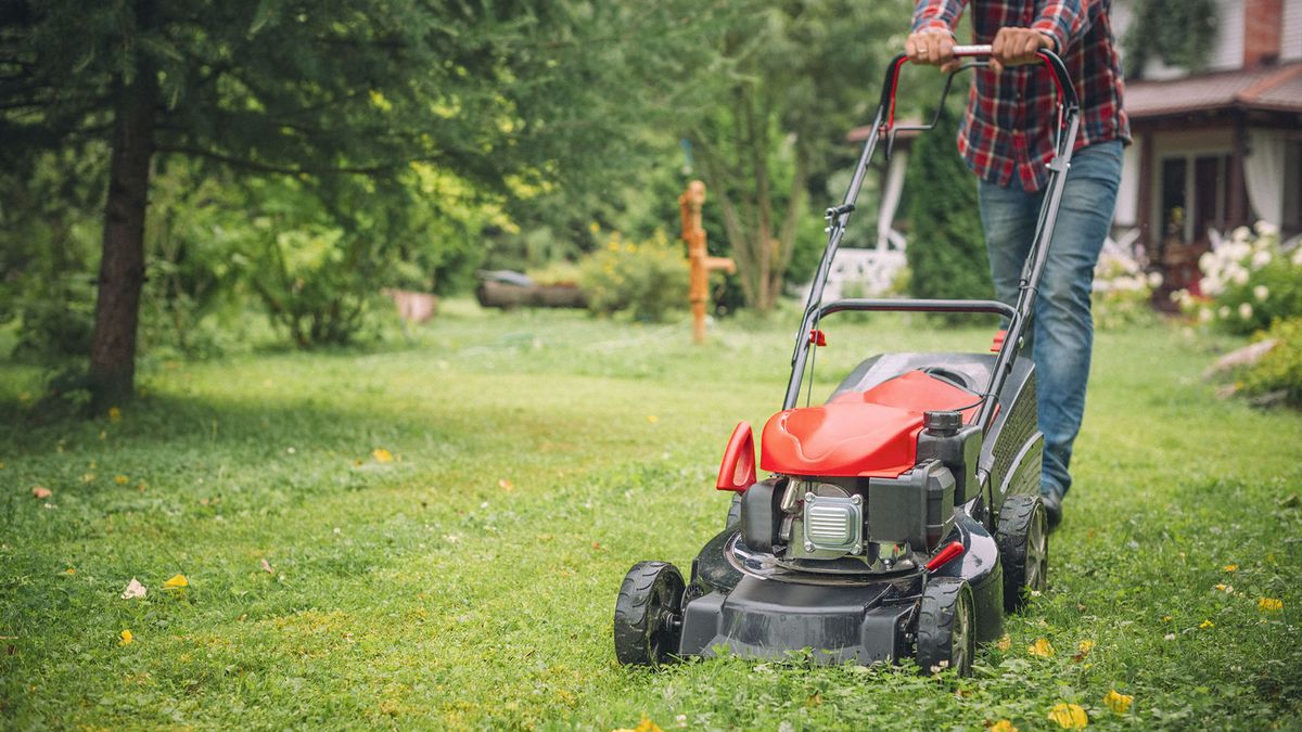 Price of an electric lawn mower