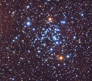 a close up view of tightly packed mostly blue and white stars. There are also two bright orange stars shining towards the top and bottom of the cluster.