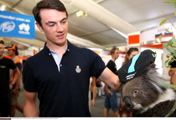 What team do you race for? Koala bear meets Yves Lampaert (Bel)