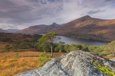 Glen Affric is one of more than 10 Scottish sites that has applied to become a new National Park, but not everyone is happy about the plans.