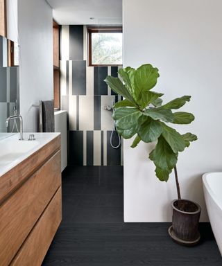 A bathroom with black flooring and white walls with a large green plant and a walk in shower
