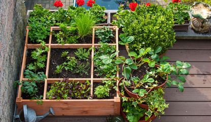 Wooden box filled with garden plants and flowers on a funny decked balcony