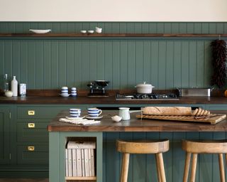 Green panelled kitchen with dark worktops