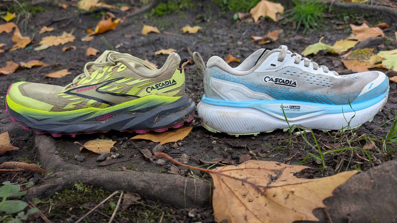 Brooks Cascadia 20 review