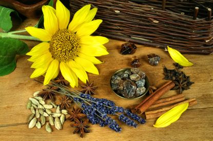 Table Full Of Herbs From A Potpourri Herb Garden