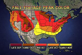 fall foliage, colors