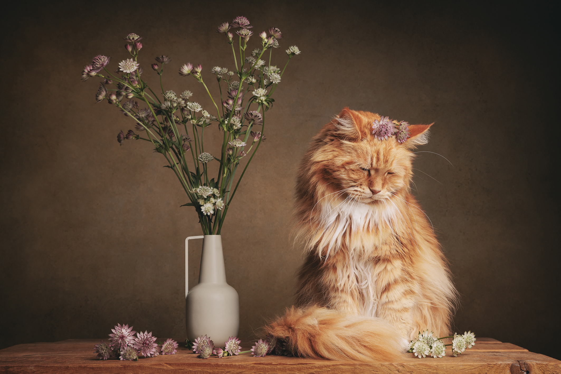 A fluffy orange cat with a flower crown sits calmly on a wooden surface. Beside it, a vase holds delicate wildflowers, creating a serene, rustic scene