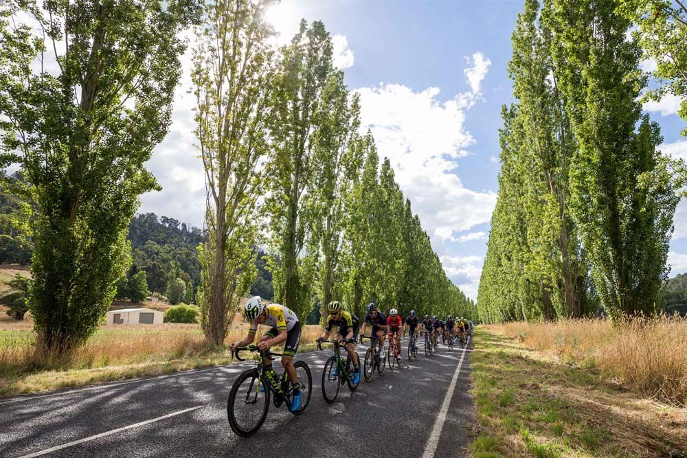Alex Edmondson on the front for Mitchelton Scott at the Herald Sun Tour