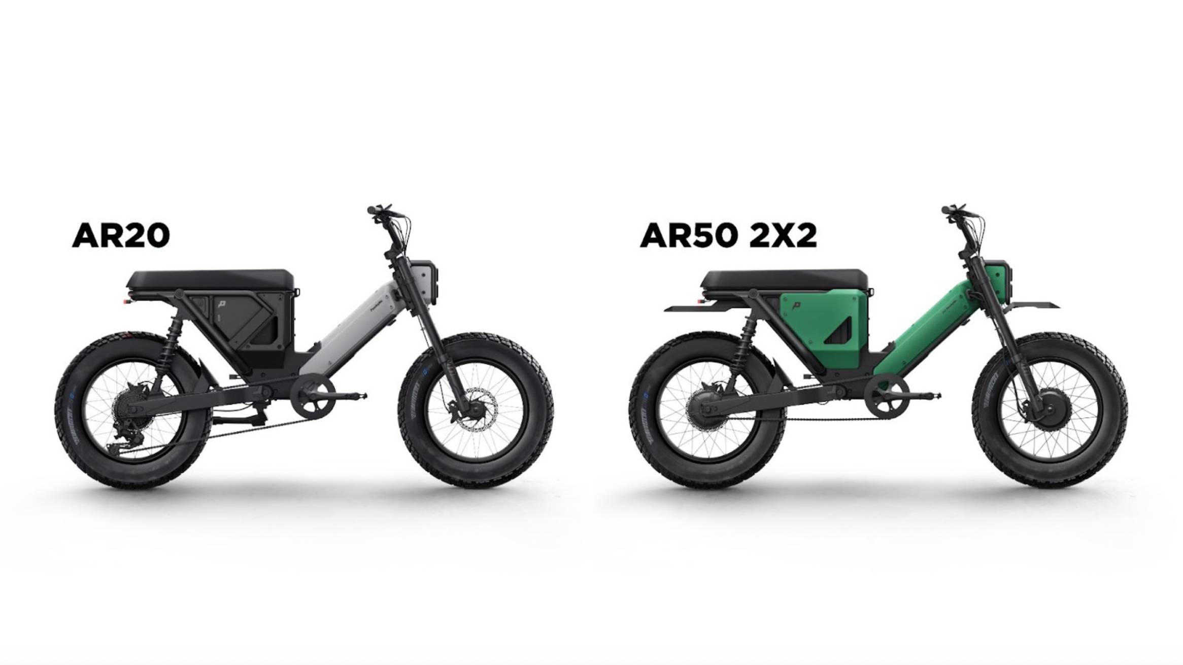 PawkyMo Advertorial Asset