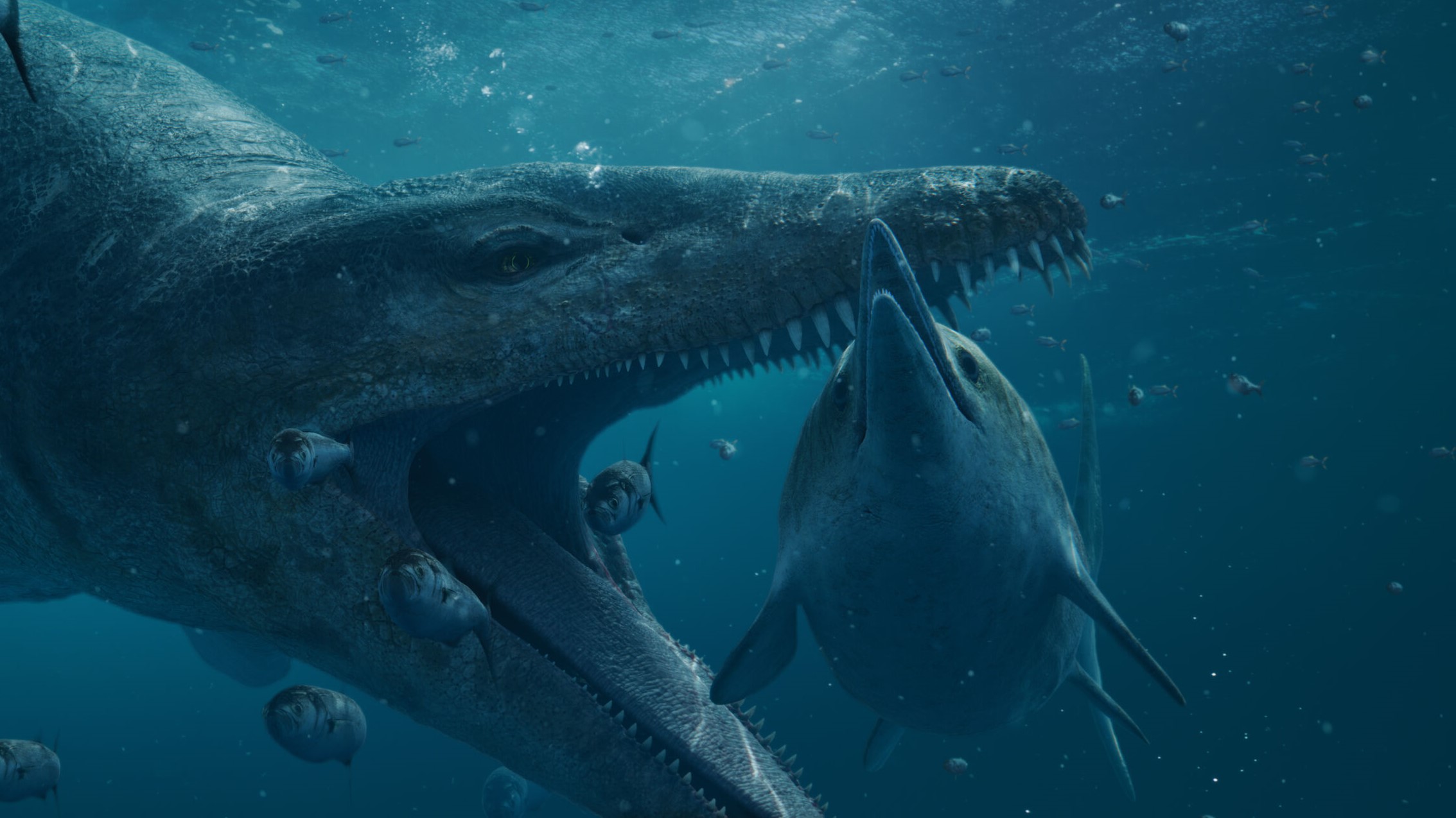 reconstruction of a pliosaur about to attack an ichthyosaur in the Jurassic ocean