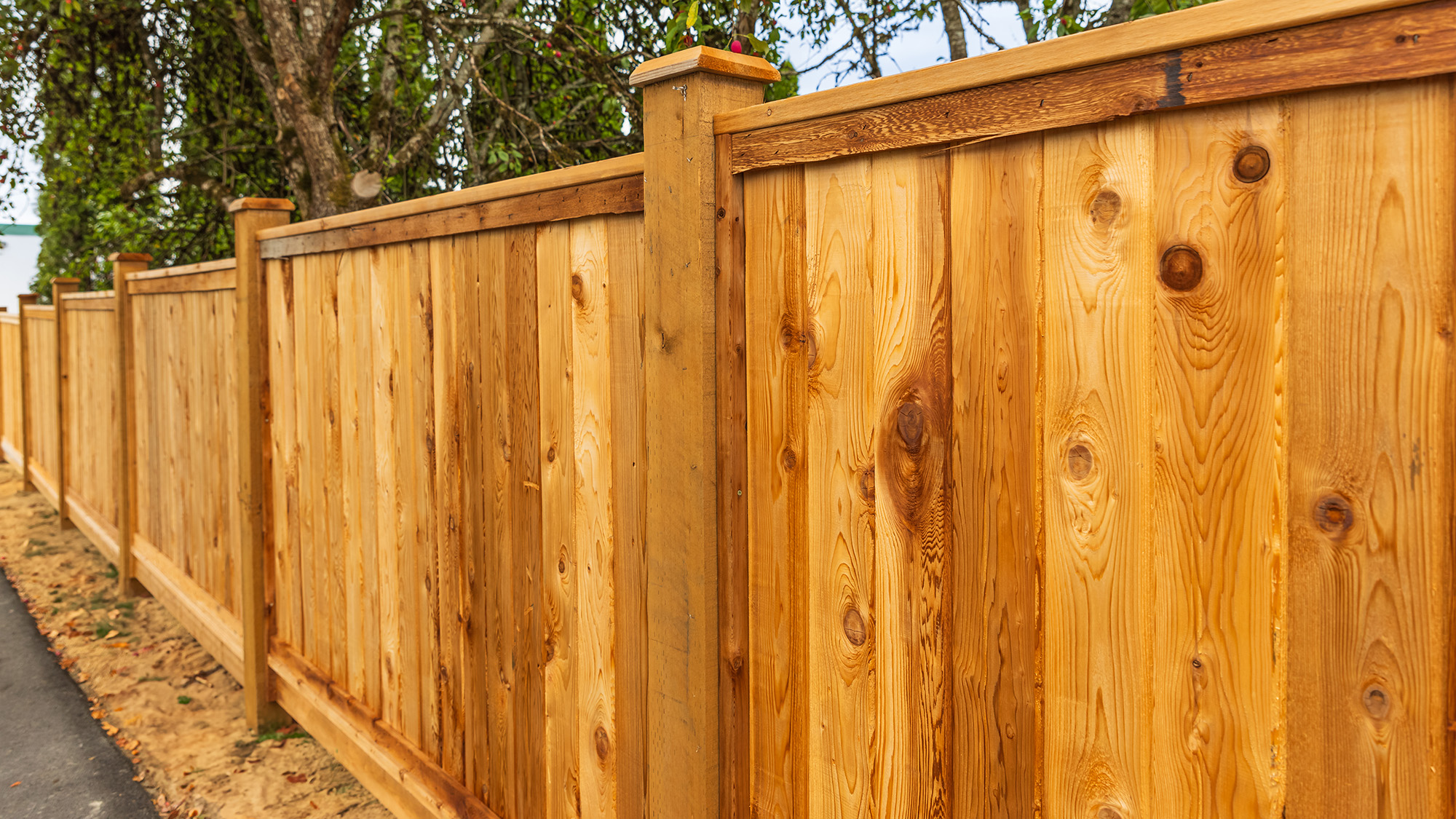 Wooden fence