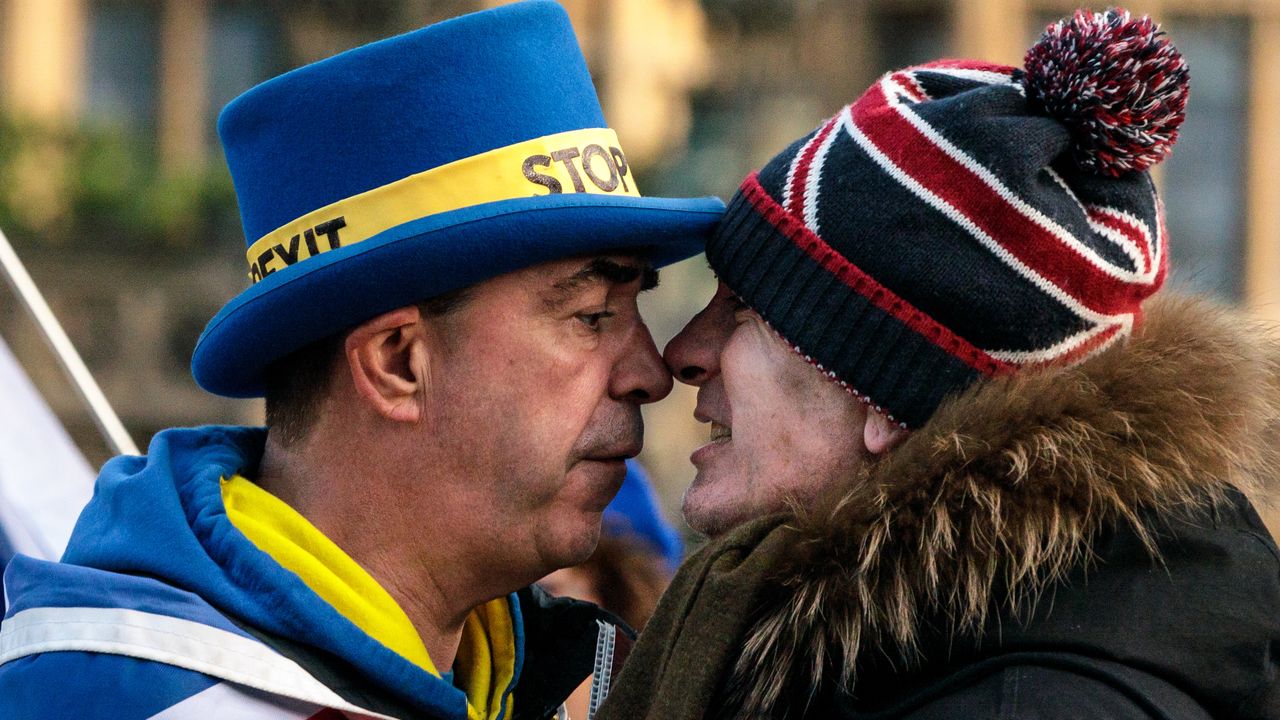 anti-Brexit protester Steve Bray