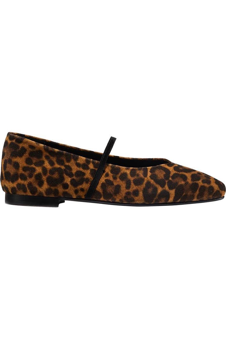 The Phoebe Flats