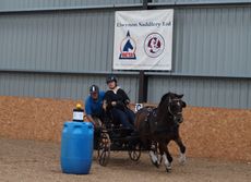 Emily Ham competing in indoor driving trials