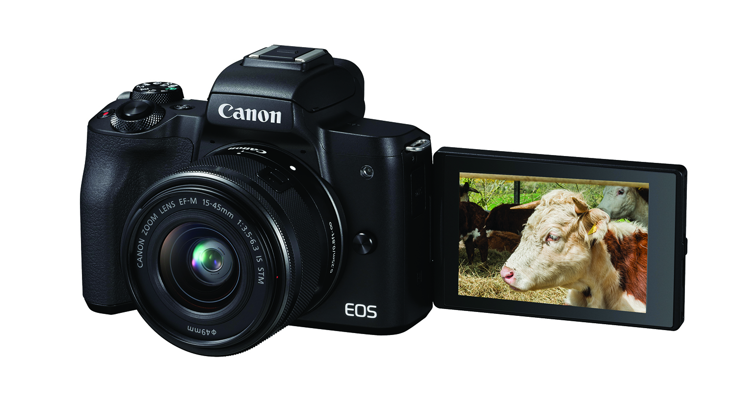 Best camera under £1000: Canon EOS M50