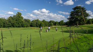 Four golfers on a putting green at The Grove