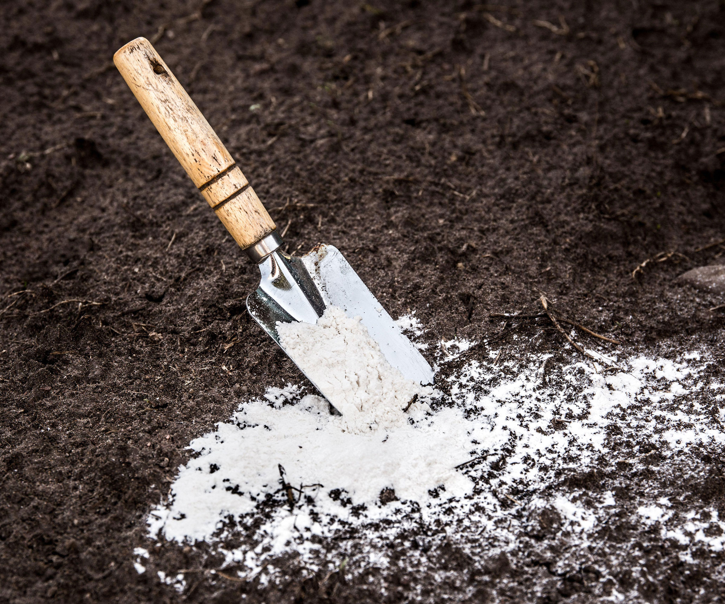 trowel of lime being added to garden soil