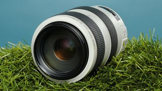 Canon EF 70-300mm f/4-5.6L IS USM review