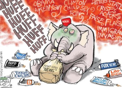 Political cartoon U.S. midterm election right-wing news Fox Info Wars MAGA fake news glue