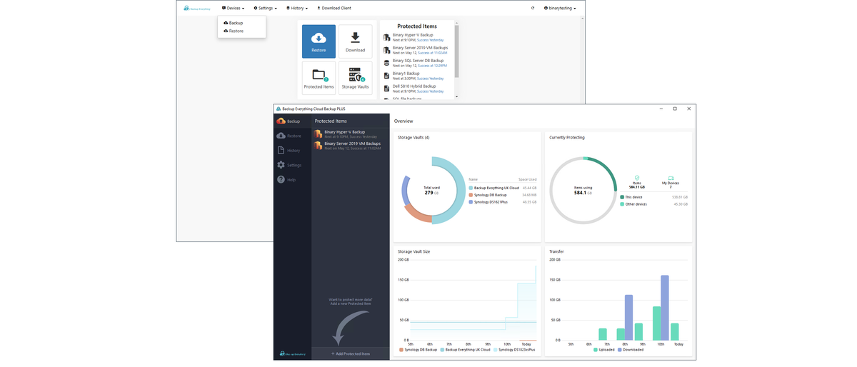 The Backup Everything dashboard