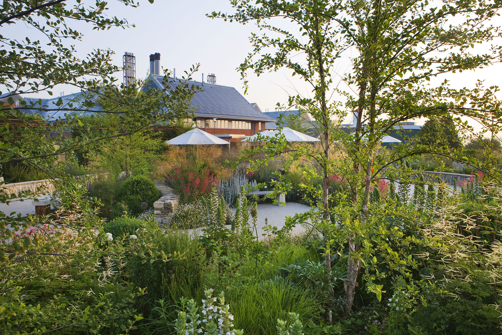 Horatio&#039;s Garden in Salisbury.