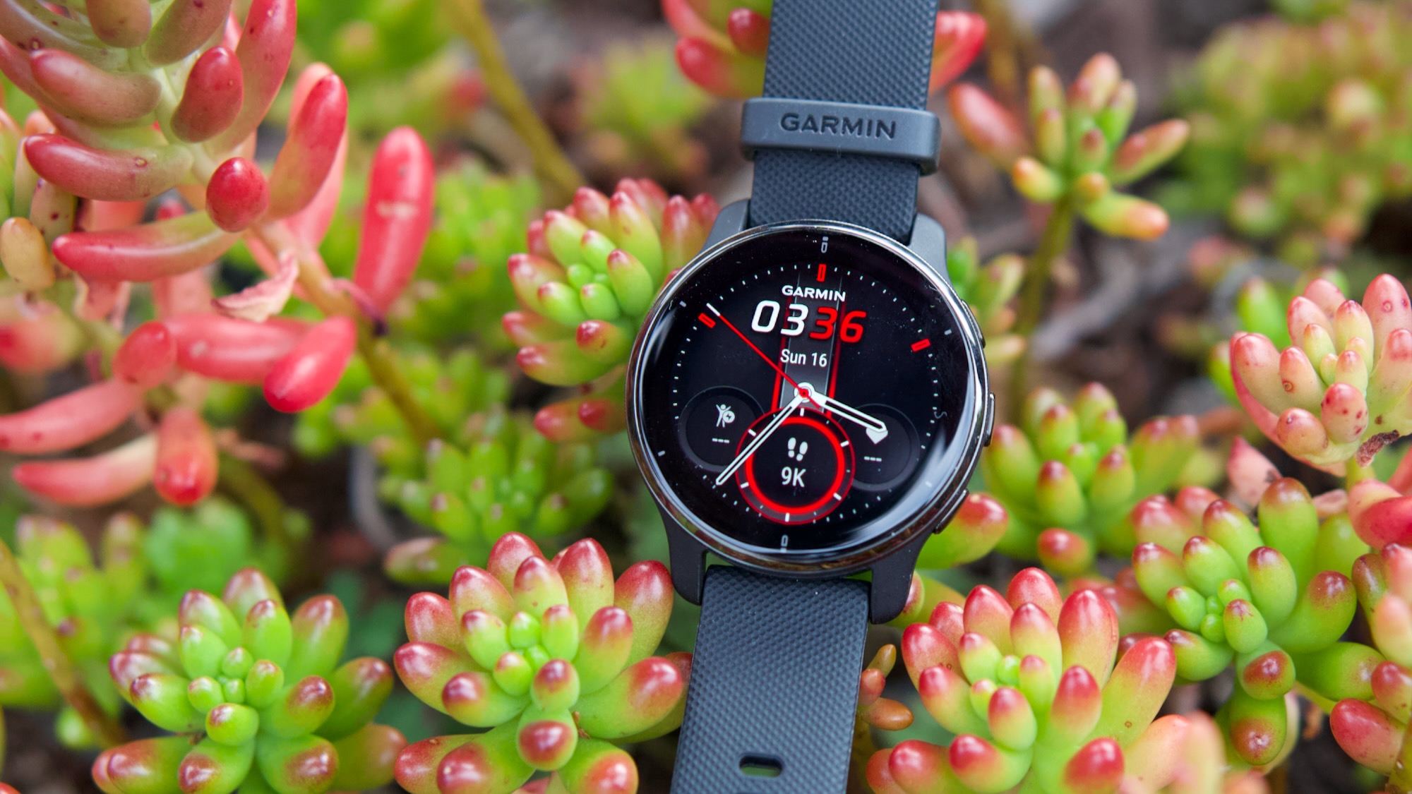 Garmin Venu vs Vivoactive 4: Running watches compared 