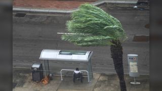 A man seeks shelter at a bus stop on Canal Street in New Orleans as Hurricane Ida made landfall in Louisiana on Aug. 29.