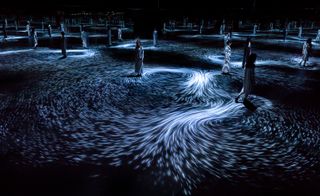 A black backdrop with white neon lines swirling on the floor and people.