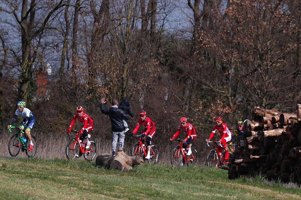 Cofidis and Katusha drive the chase